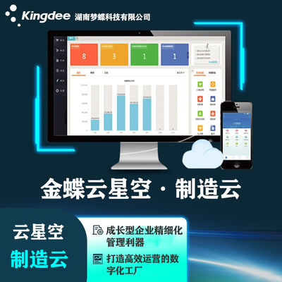 财务软件